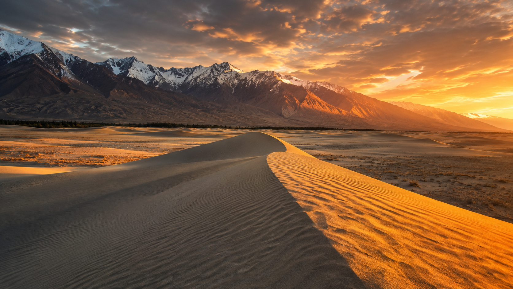Cold Desert Tour